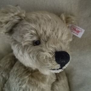 Steiff Cream Teddy Bear Authentic Tagged; Numbered